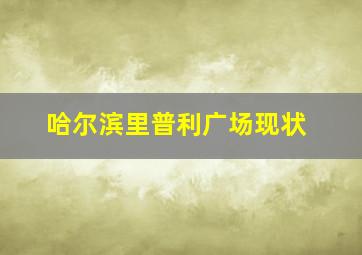 哈尔滨里普利广场现状