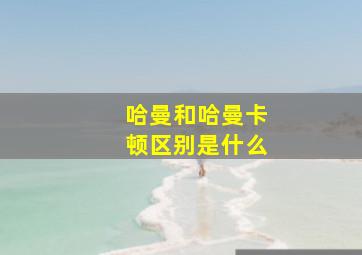 哈曼和哈曼卡顿区别是什么