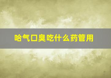 哈气口臭吃什么药管用