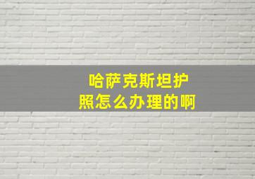 哈萨克斯坦护照怎么办理的啊