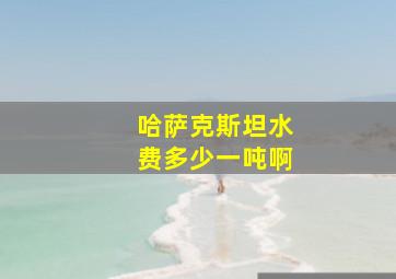 哈萨克斯坦水费多少一吨啊