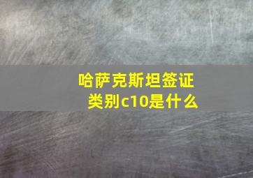 哈萨克斯坦签证类别c10是什么