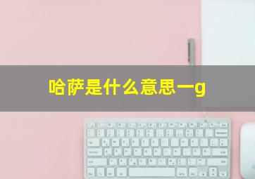 哈萨是什么意思一g