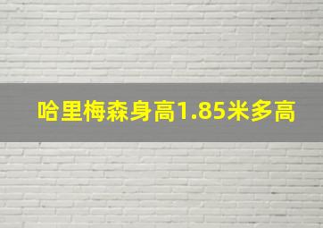 哈里梅森身高1.85米多高