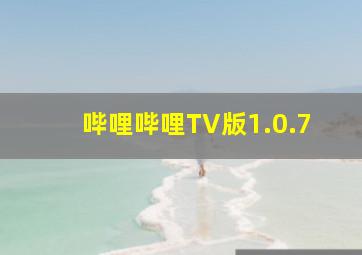 哔哩哔哩TV版1.0.7