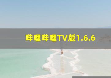 哔哩哔哩TV版1.6.6