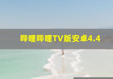 哔哩哔哩TV版安卓4.4