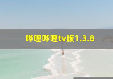 哔哩哔哩tv版1.3.8