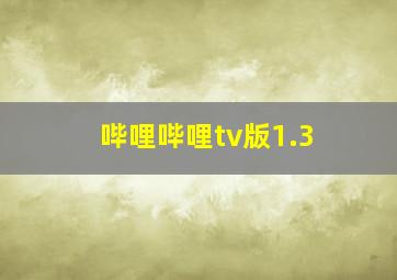 哔哩哔哩tv版1.3