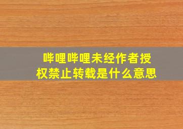 哔哩哔哩未经作者授权禁止转载是什么意思