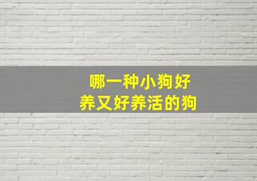 哪一种小狗好养又好养活的狗