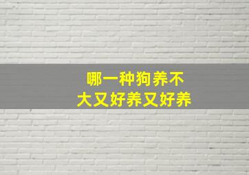 哪一种狗养不大又好养又好养