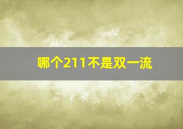 哪个211不是双一流