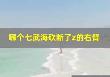 哪个七武海砍断了z的右臂