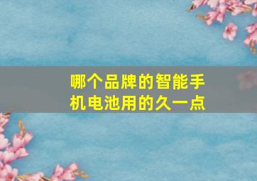 哪个品牌的智能手机电池用的久一点