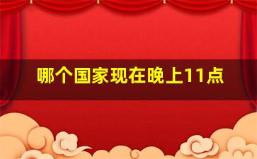 哪个国家现在晚上11点