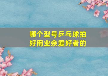 哪个型号乒乓球拍好用业余爱好者的