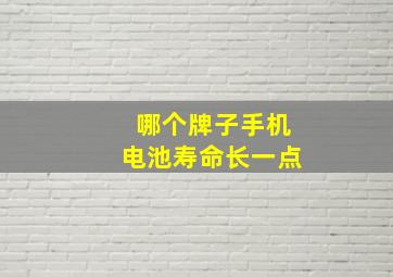 哪个牌子手机电池寿命长一点