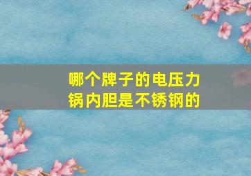 哪个牌子的电压力锅内胆是不锈钢的