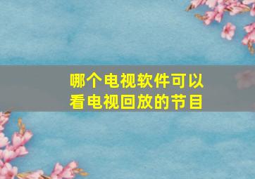 哪个电视软件可以看电视回放的节目