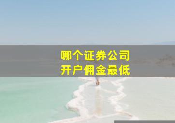 哪个证券公司开户佣金最低