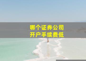 哪个证券公司开户手续费低