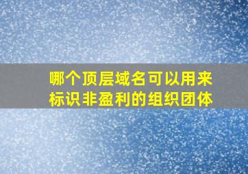 哪个顶层域名可以用来标识非盈利的组织团体