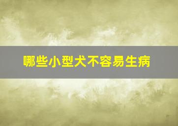 哪些小型犬不容易生病