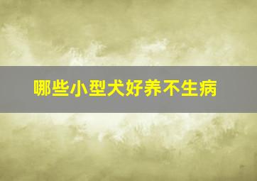 哪些小型犬好养不生病