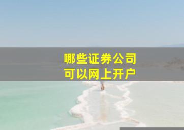 哪些证券公司可以网上开户