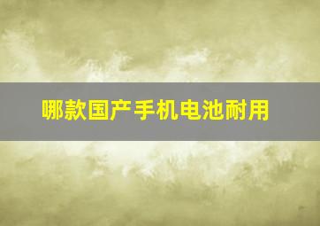 哪款国产手机电池耐用