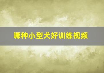 哪种小型犬好训练视频