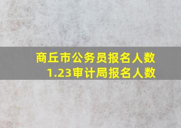 商丘市公务员报名人数1.23审计局报名人数