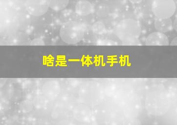 啥是一体机手机