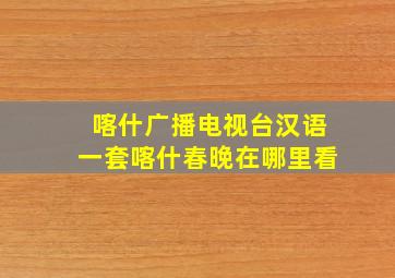 喀什广播电视台汉语一套喀什春晚在哪里看