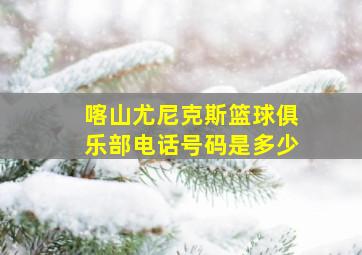 喀山尤尼克斯篮球俱乐部电话号码是多少