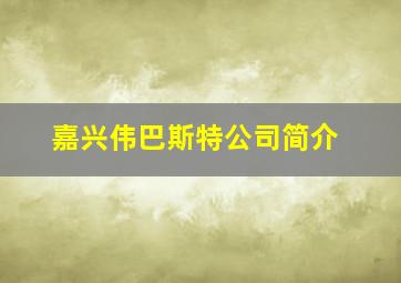 嘉兴伟巴斯特公司简介