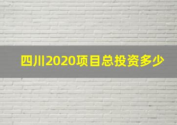 四川2020项目总投资多少