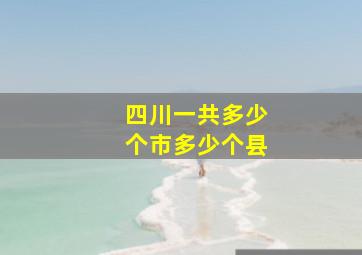 四川一共多少个市多少个县