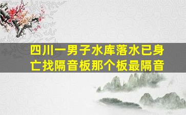 四川一男子水库落水已身亡找隔音板那个板最隔音