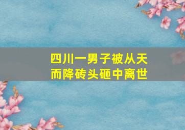 四川一男子被从天而降砖头砸中离世