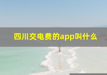 四川交电费的app叫什么