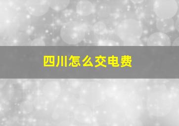 四川怎么交电费