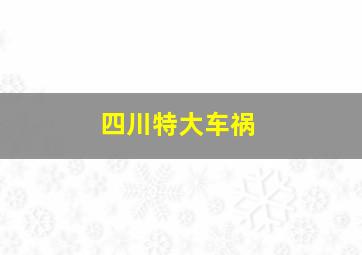 四川特大车祸