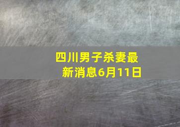 四川男子杀妻最新消息6月11日