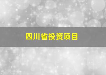 四川省投资项目