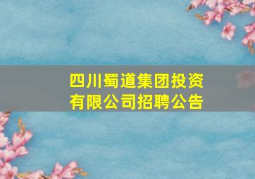 四川蜀道集团投资有限公司招聘公告