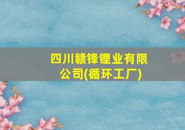 四川赣锋锂业有限公司(循环工厂)