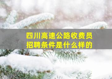 四川高速公路收费员招聘条件是什么样的