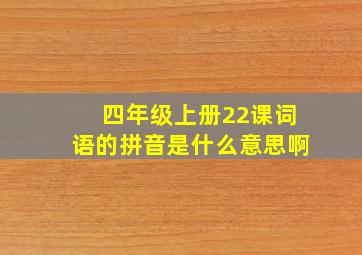 四年级上册22课词语的拼音是什么意思啊